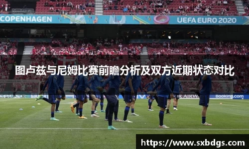 图卢兹与尼姆比赛前瞻分析及双方近期状态对比